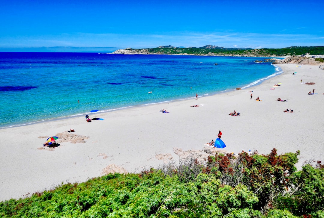 people on beach during daytime