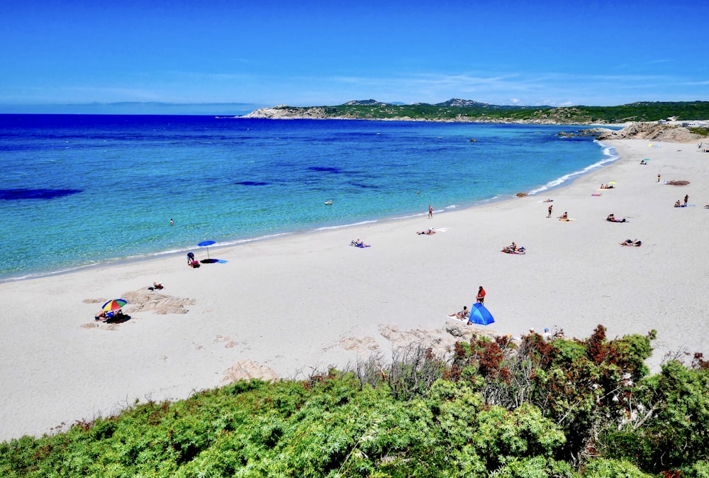 Gente en la playa durante el día