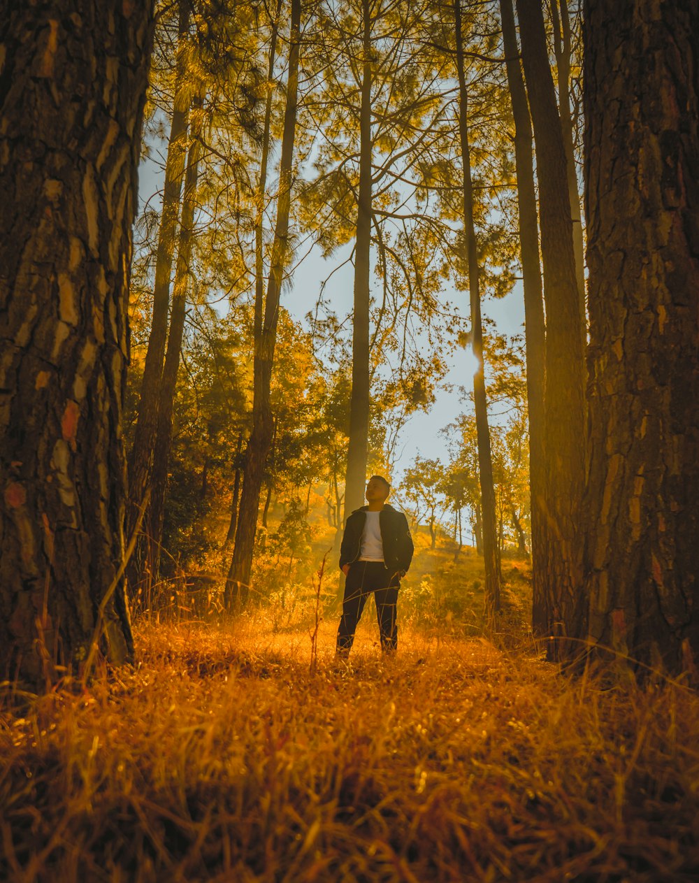 man in black jacket standing on brown grass field surrounded by trees during daytime