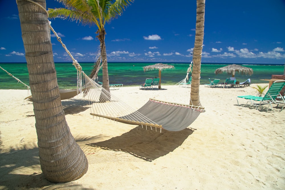 white hammock on beach during daytime