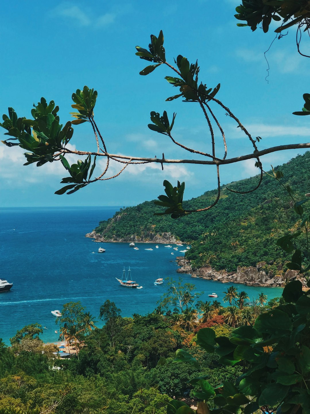 Tropics photo spot Ilha Bela Brasil