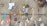 A variety of police and sheriff patches are attached to a chain-link fence. The patches include names like Louisville, Orange County, and Los Angeles County. There are also ribbons, wristbands, and small ornaments, including a white bow and a small baseball.