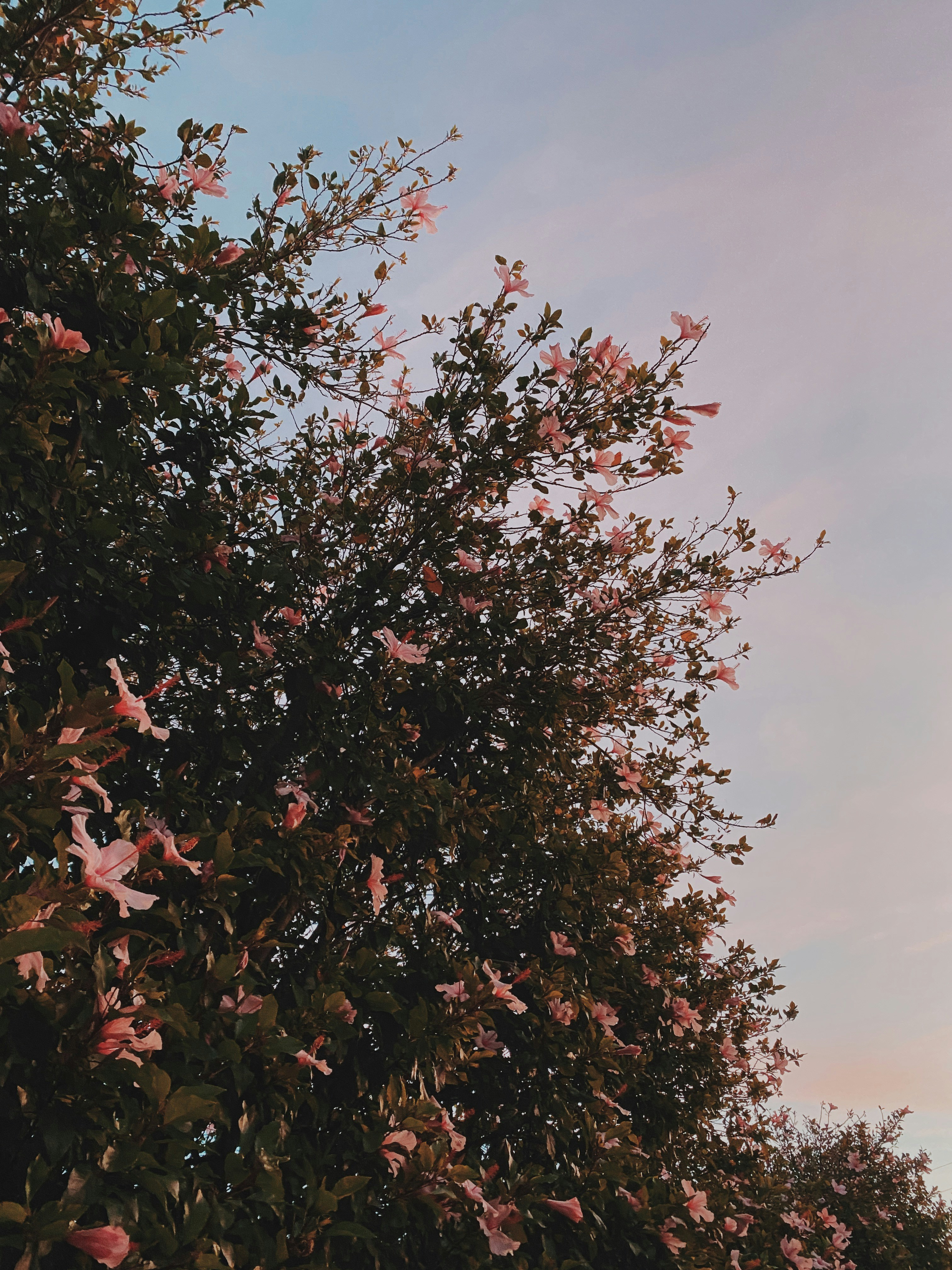 Photo by bellafosterdesign