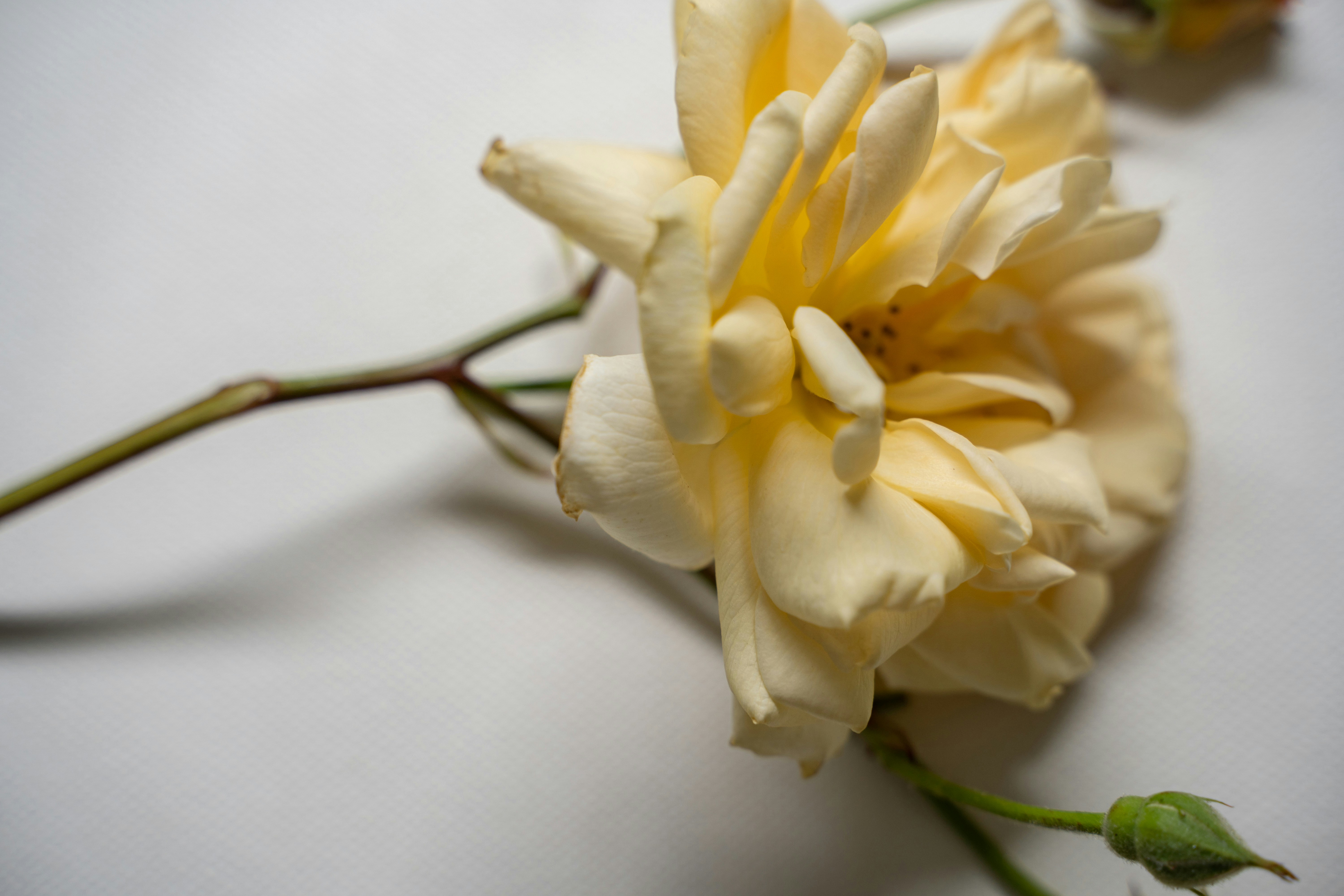 Duncan McCabe (@dmccabe) | Komunitas Foto Unsplash