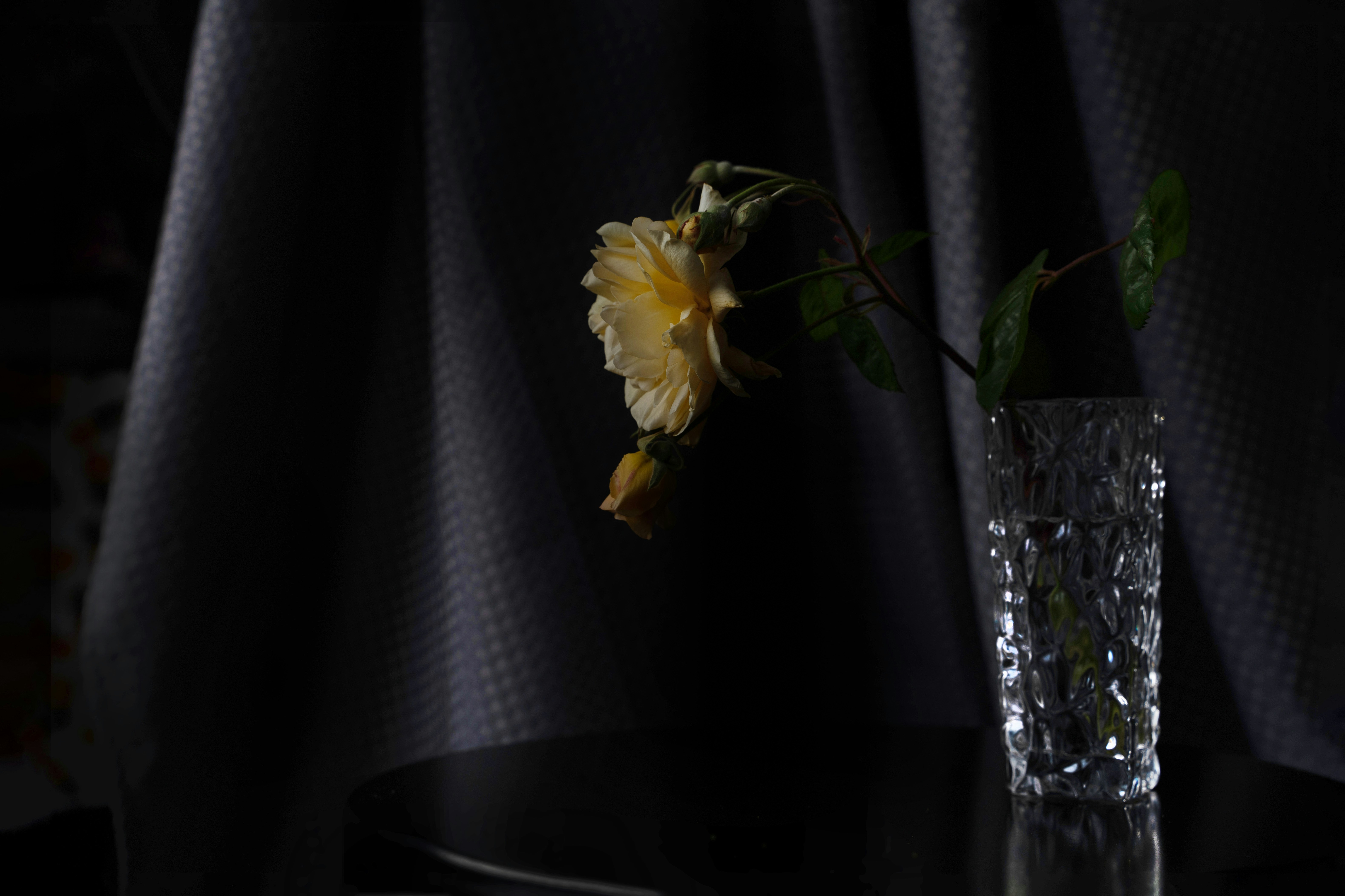 Duncan McCabe (@dmccabe) | Komunitas Foto Unsplash