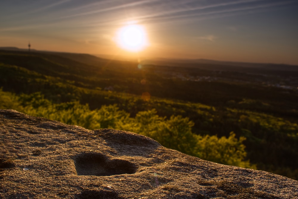 brown rock near green grass during daytime