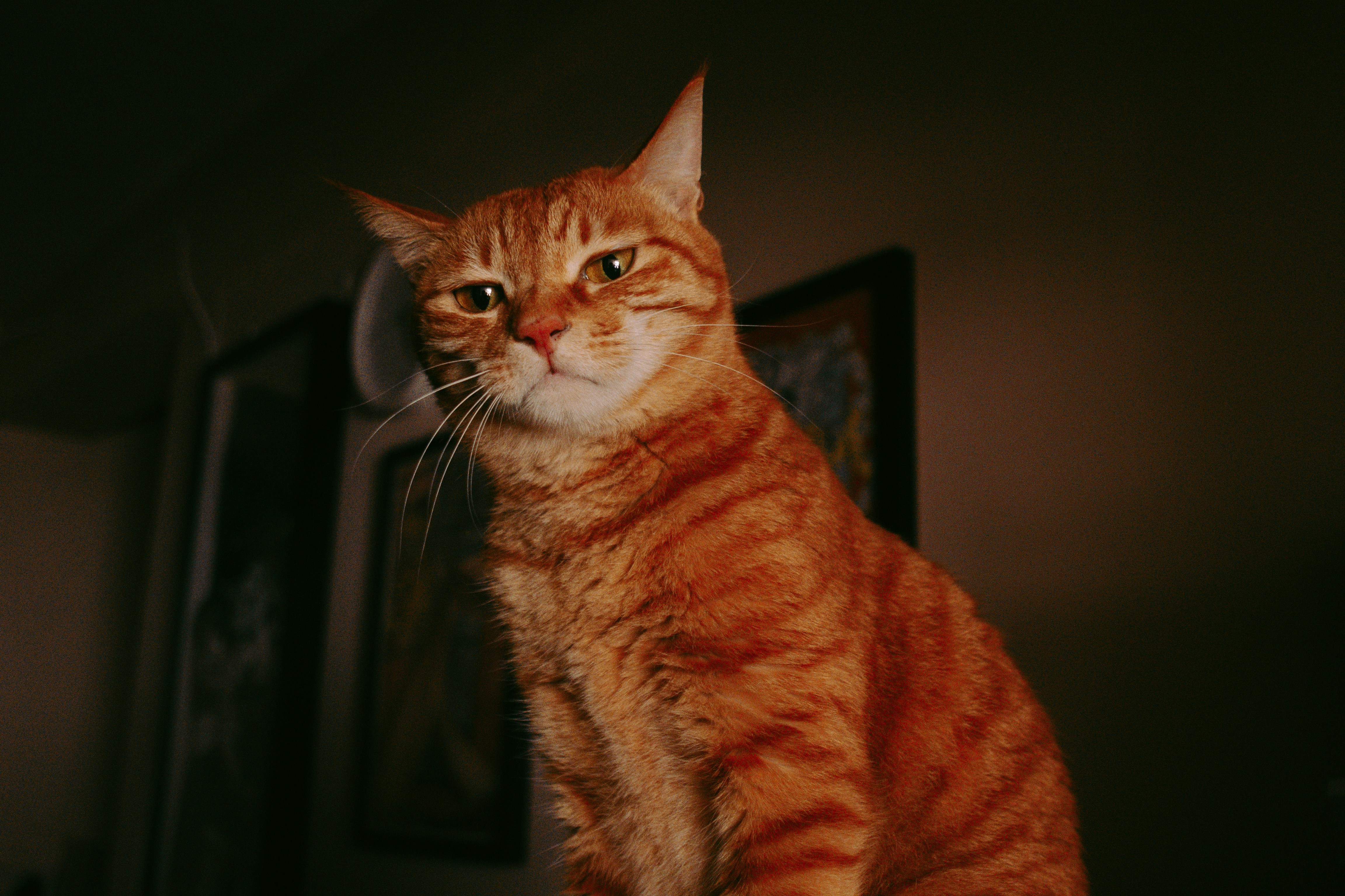 Photo by joshuafernandez