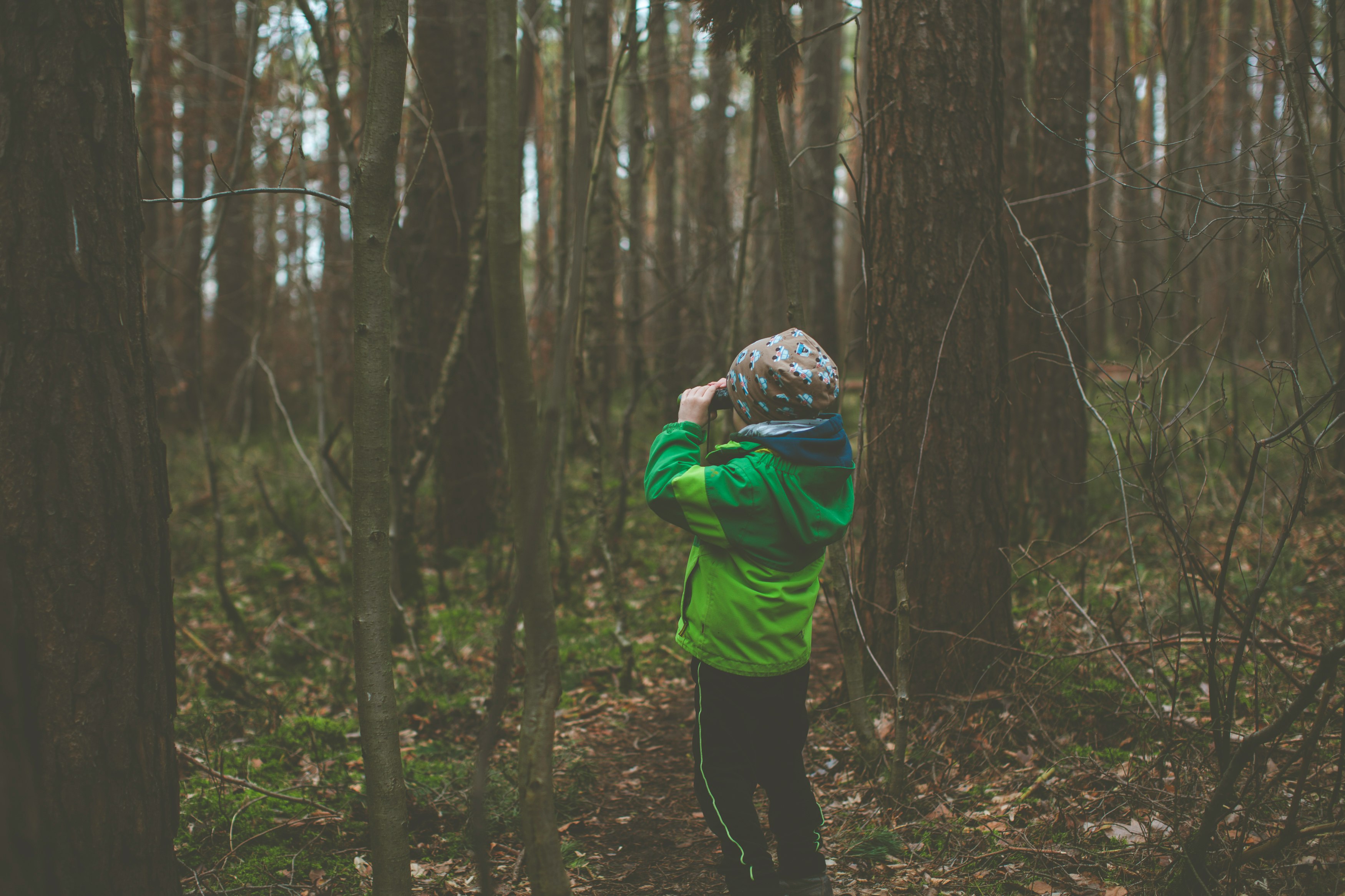 person in green hoodie standing in the woods