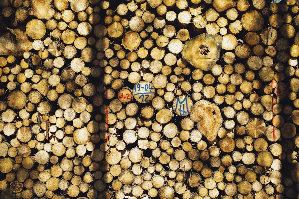 troncos de madeira castanhos com copos de plástico azuis e brancos