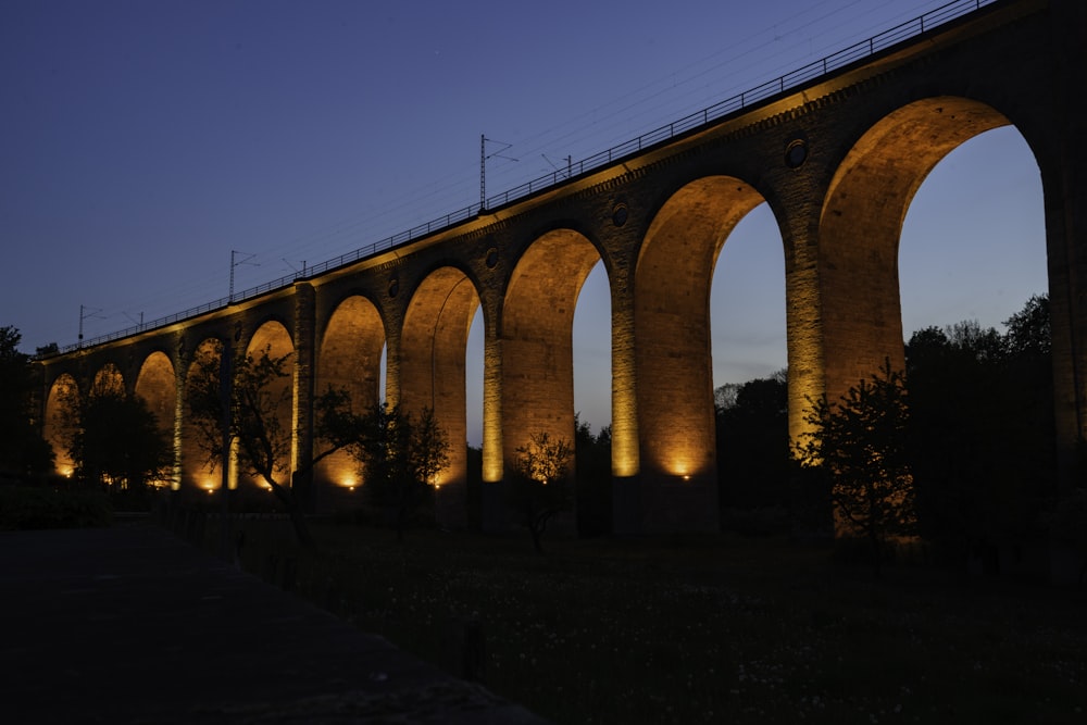 brown concrete bridge during night time