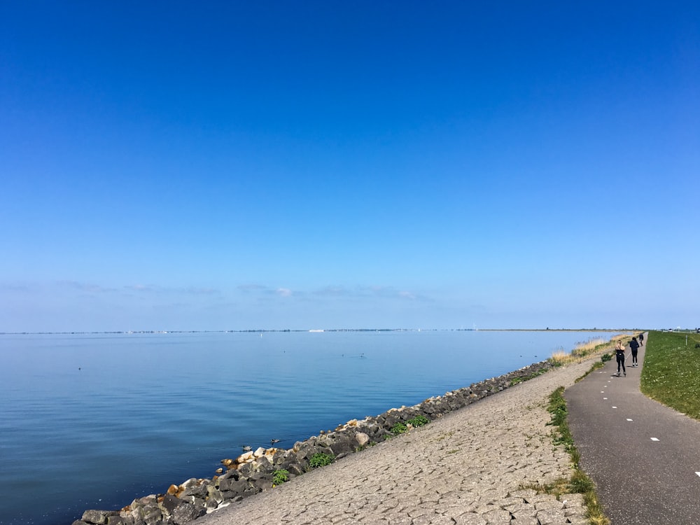 昼間の青空の下、水域のそばの灰色のコンクリートの小道