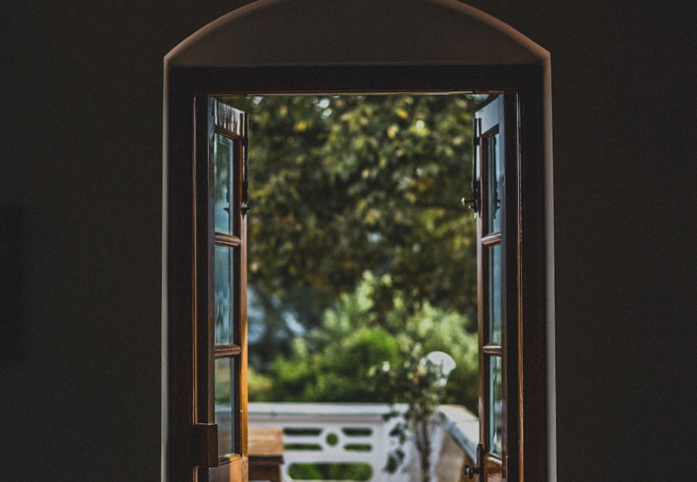 green tree in front of window