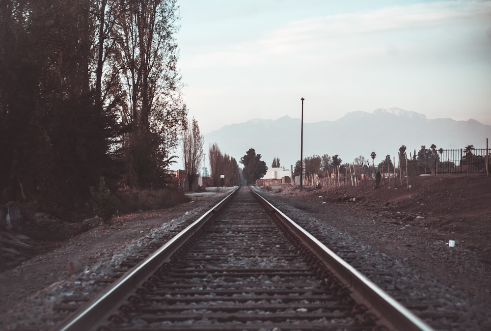 train rail near bare trees during daytime