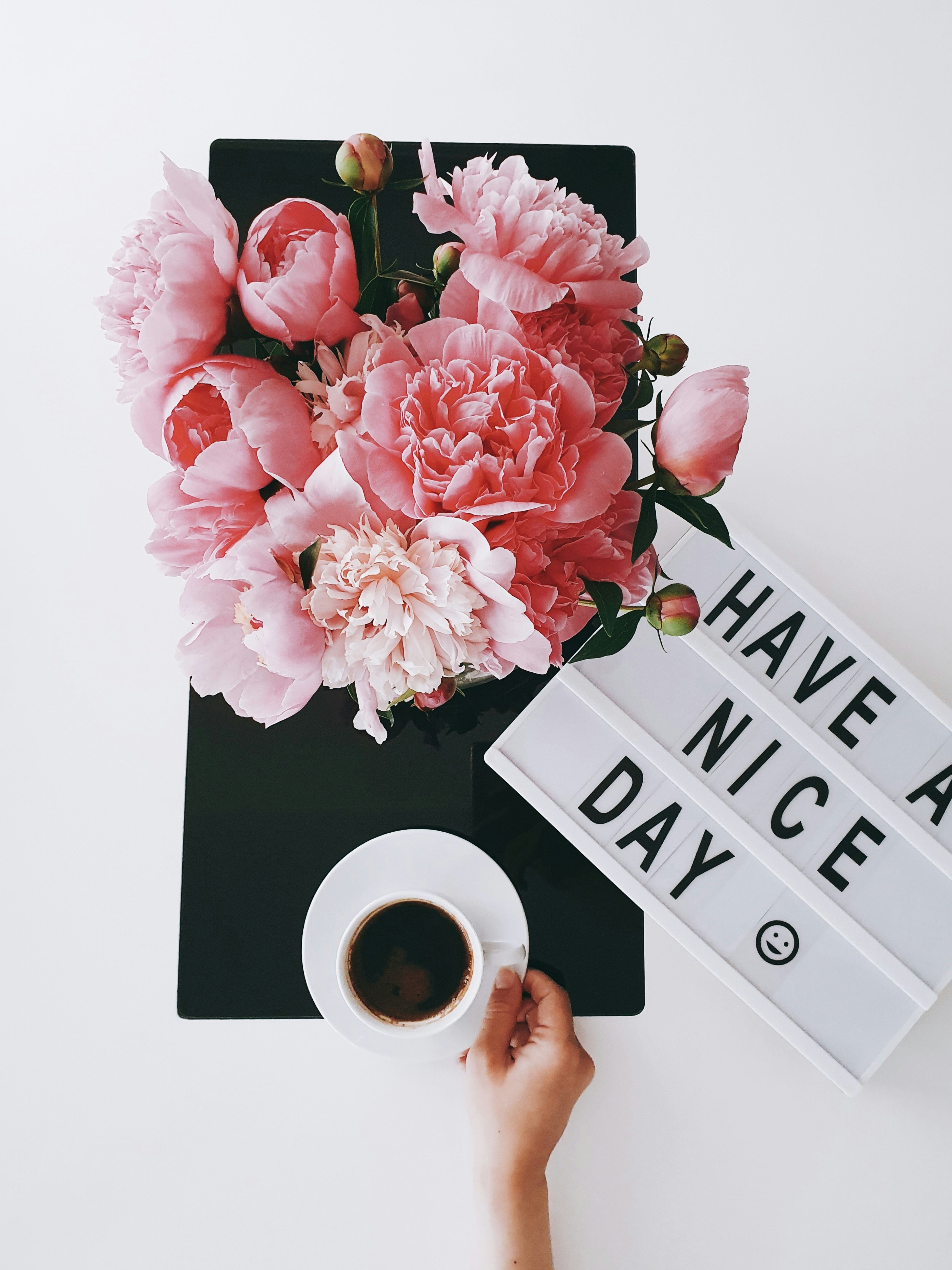 What are the Different Types of Carnations?