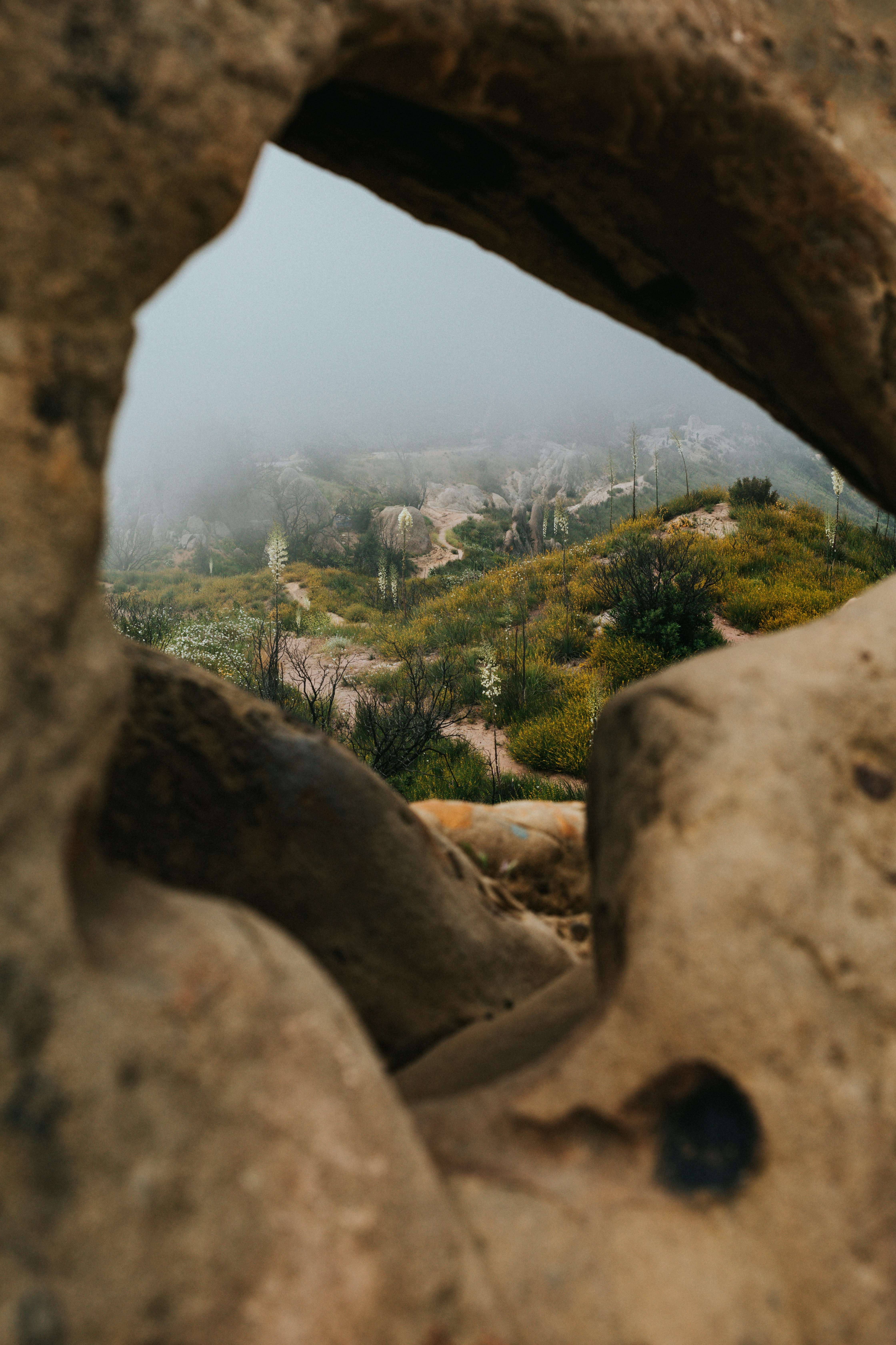 Photo by nate_dumlao