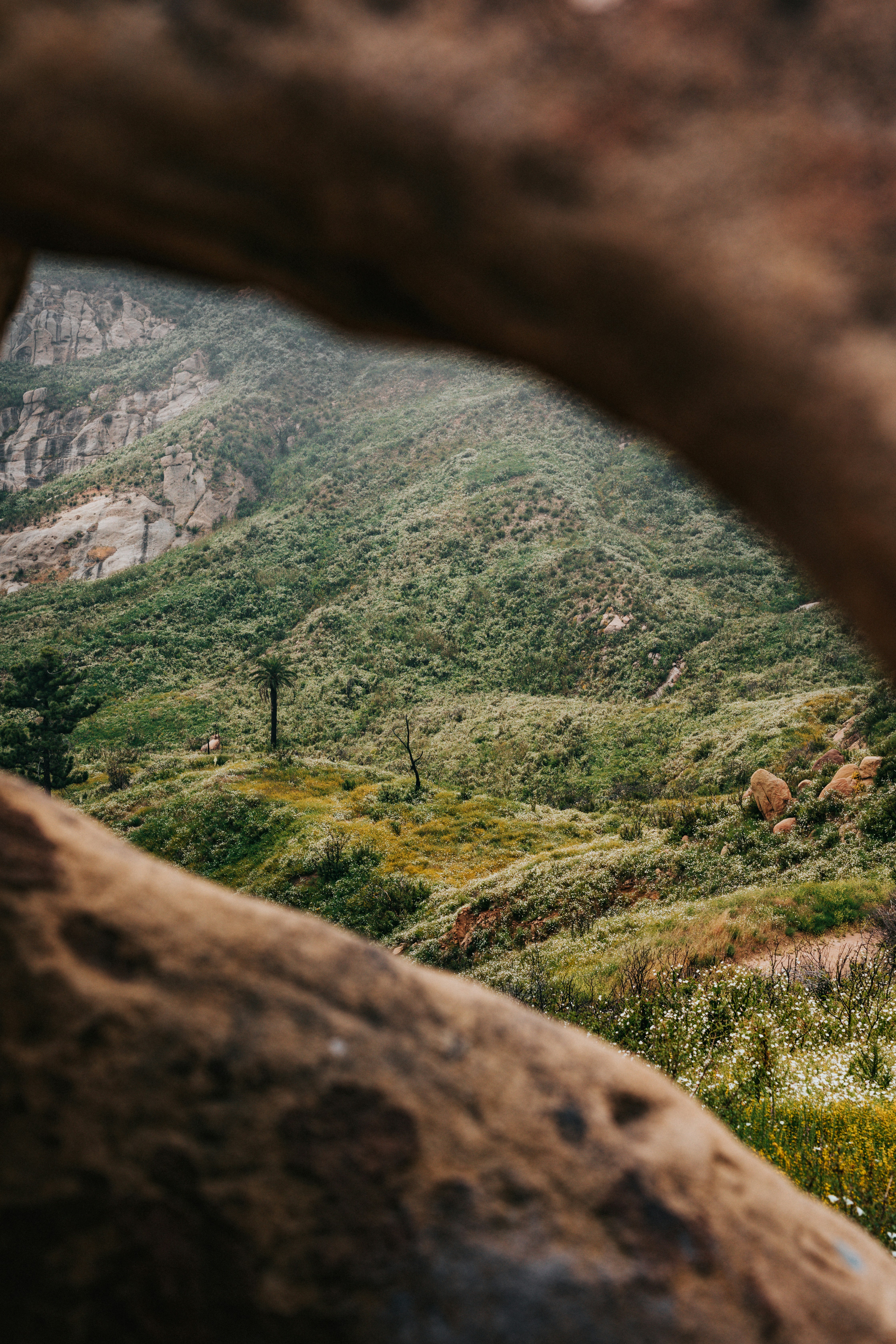 Photo by nate_dumlao