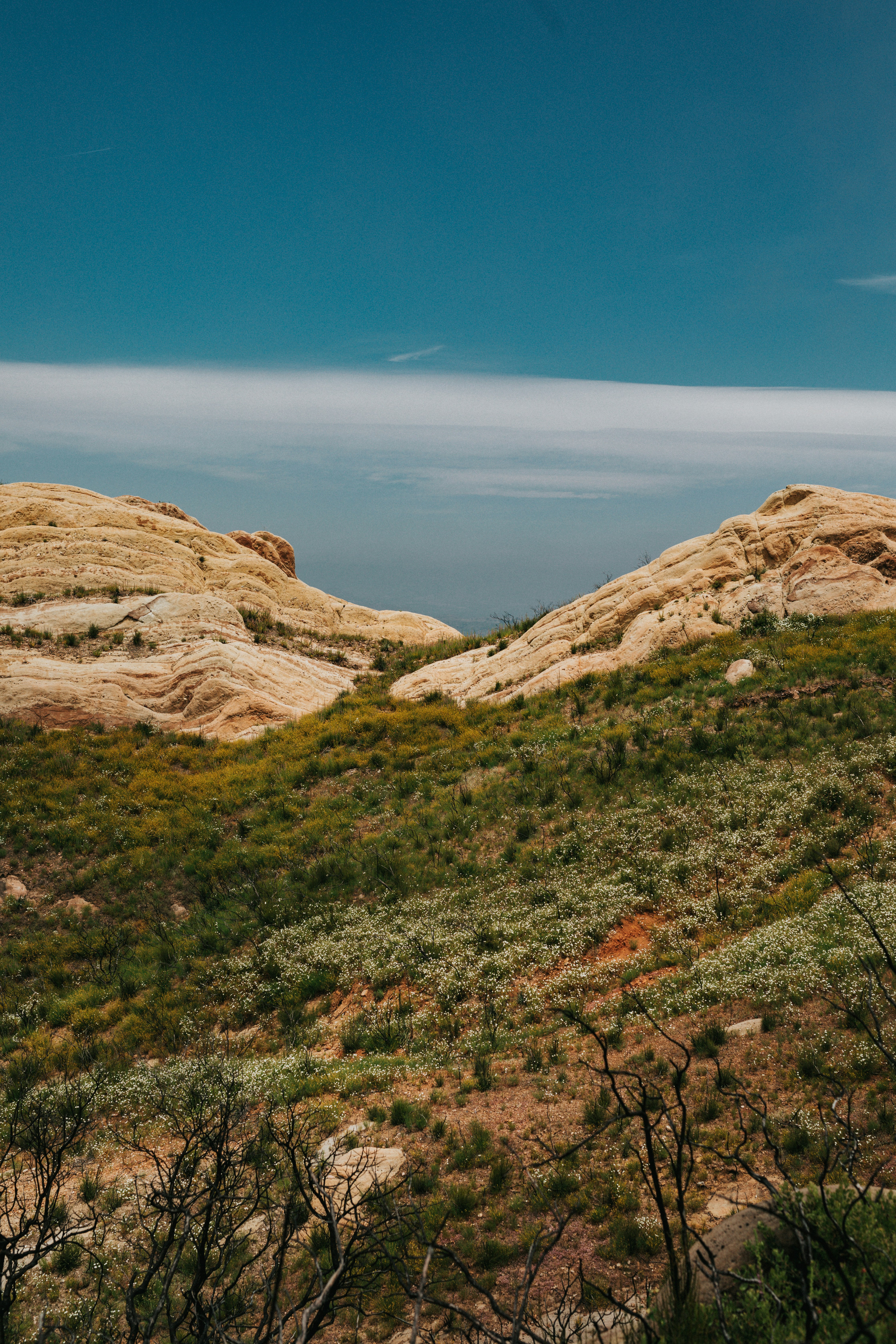 Photo by nate_dumlao