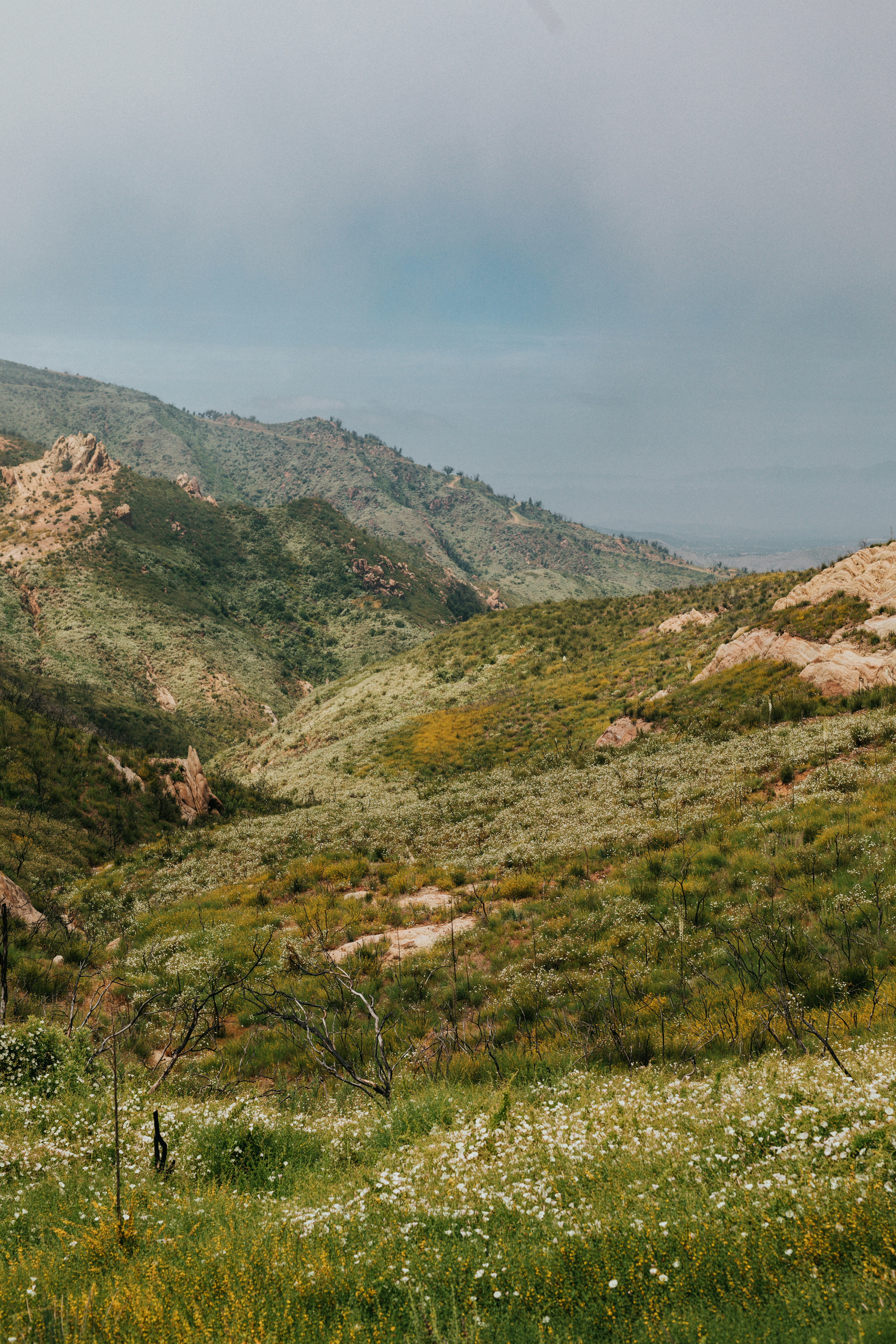 Photo by nate_dumlao