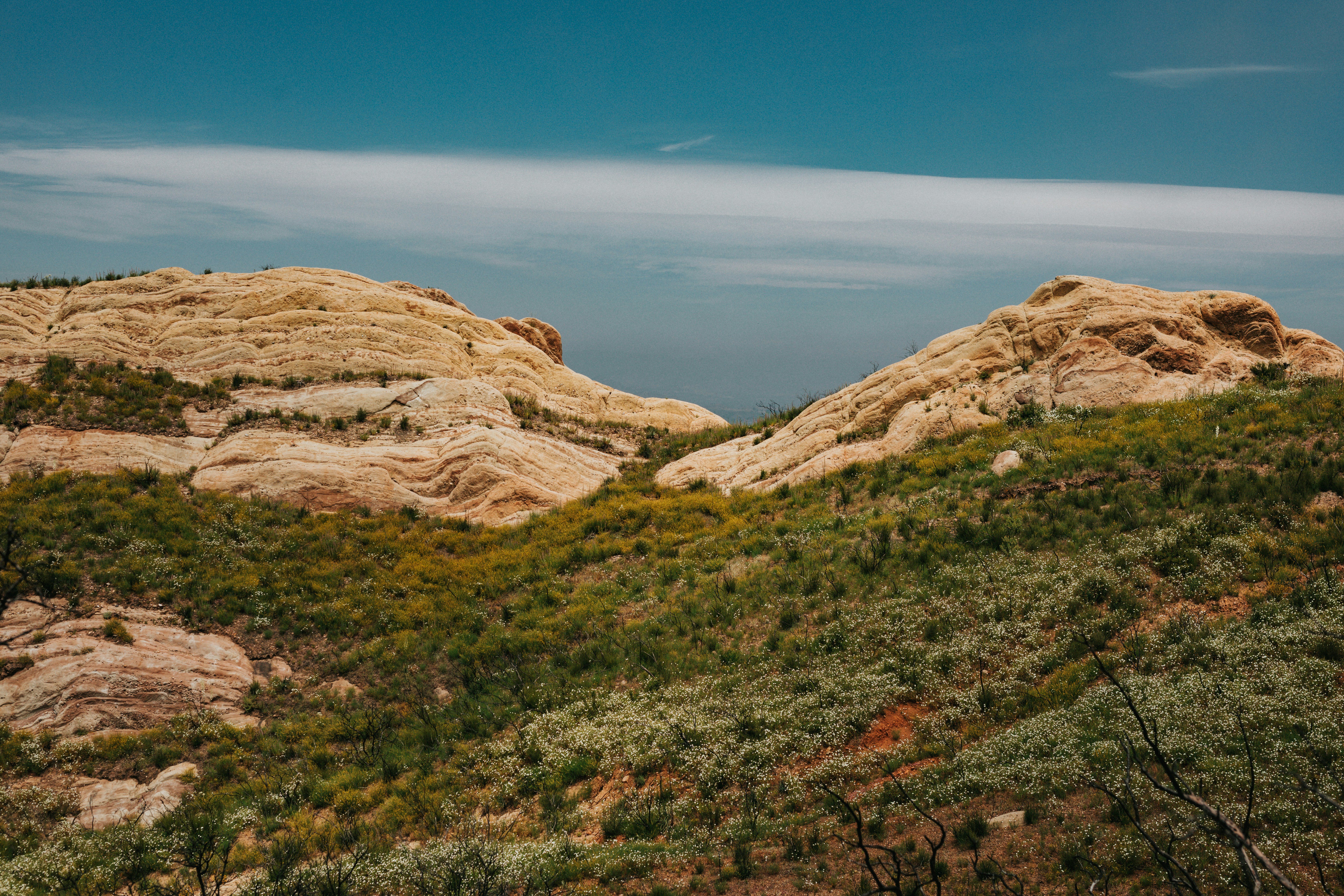 Photo by nate_dumlao