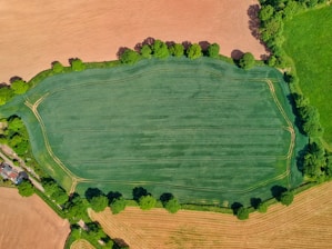 aerial view of green field
