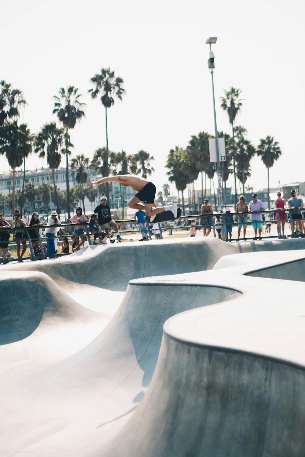 people walking on park during daytime