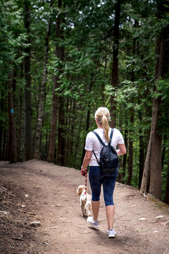 woman in white shirt and blue denim jeans holding brown and white short coated dog in Ontario Canada