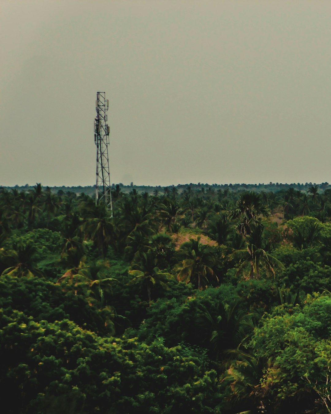 Forest photo spot Tamil Nadu Yercaud