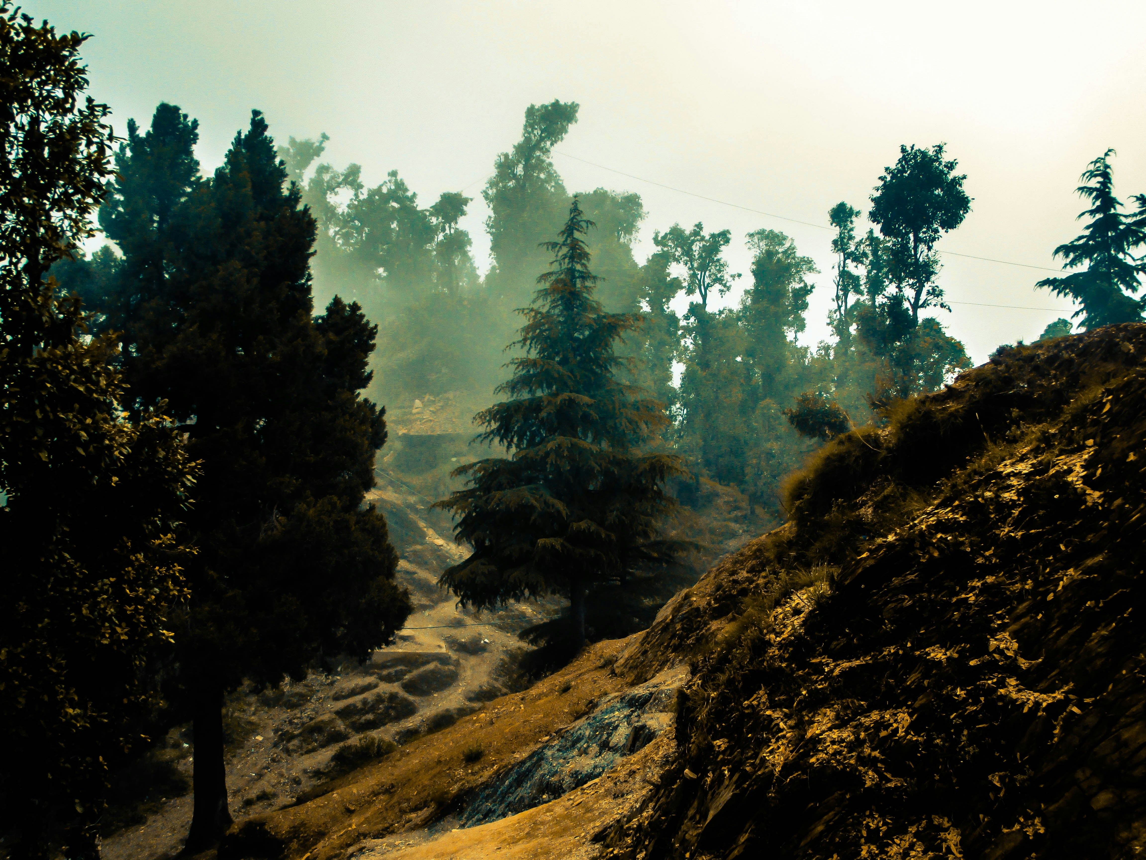 Photo by explorebernard