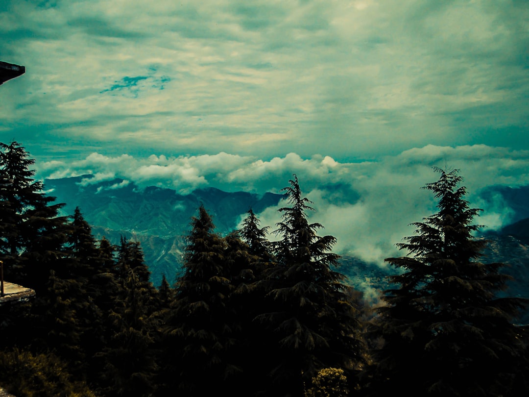 Mountain photo spot Dehradun Kanatal