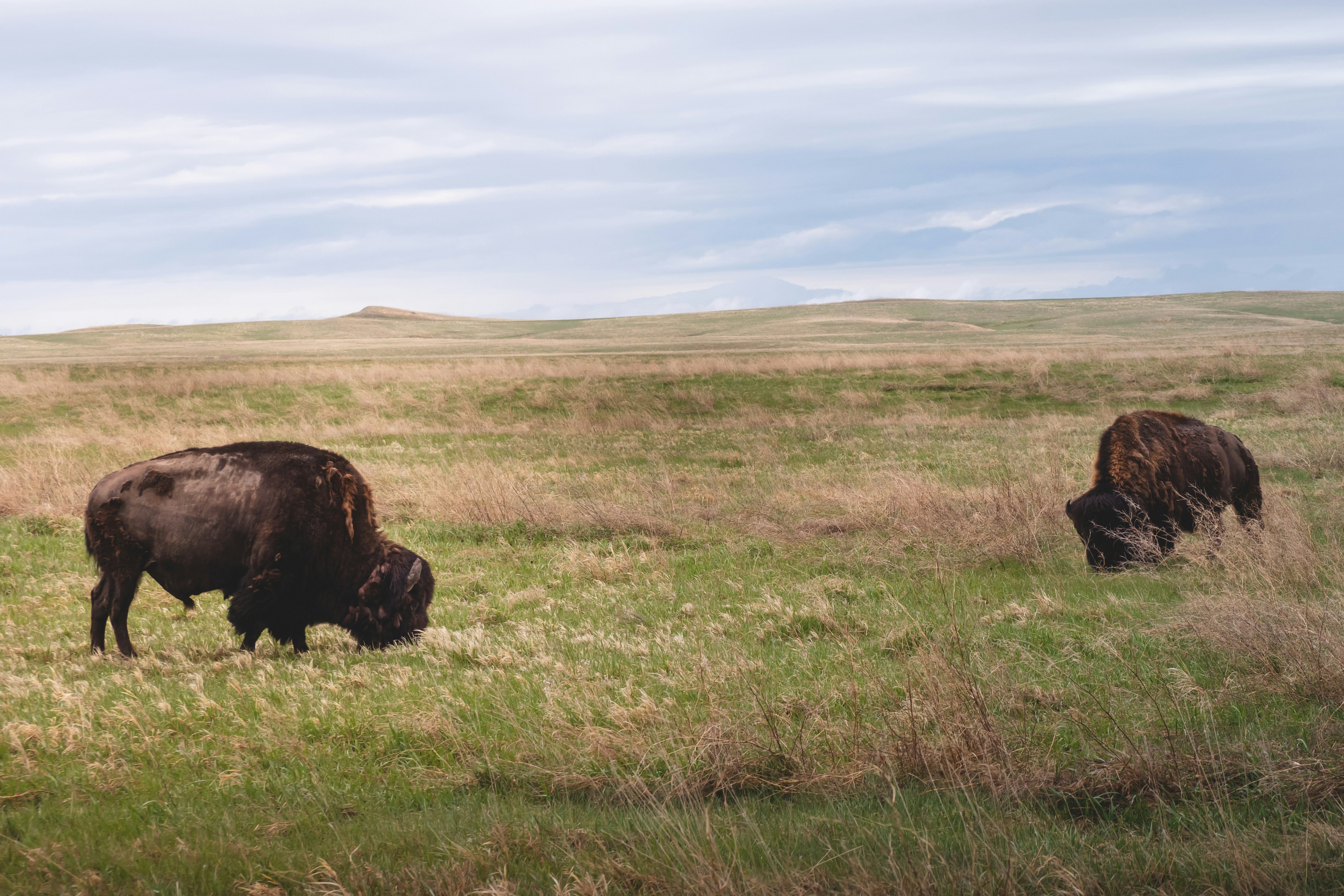 Photo by robbieshots