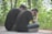 Two individuals are sitting on the side of a road surrounded by greenery. They are both wearing dark clothing, and their posture suggests they are experiencing sadness or contemplation. One person has their head in their hands.