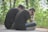 Two individuals are sitting on the side of a road surrounded by greenery. They are both wearing dark clothing, and their posture suggests they are experiencing sadness or contemplation. One person has their head in their hands.