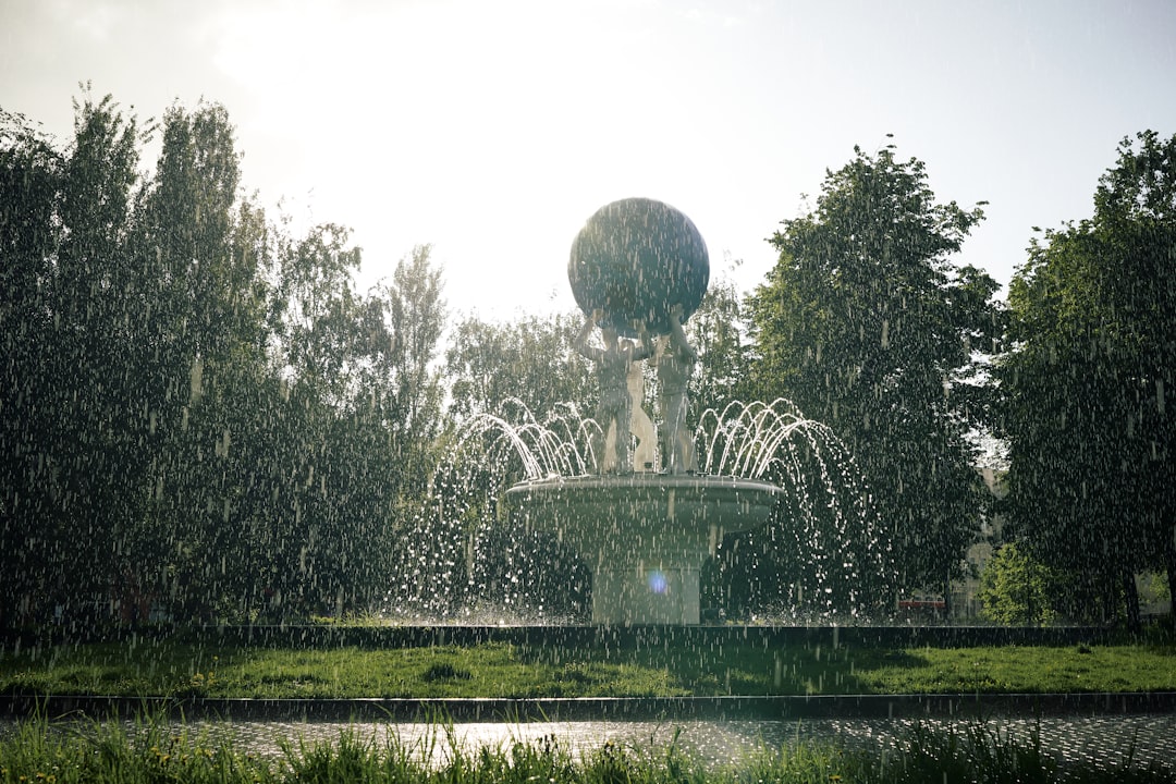 water fountain in the middle of green grass field