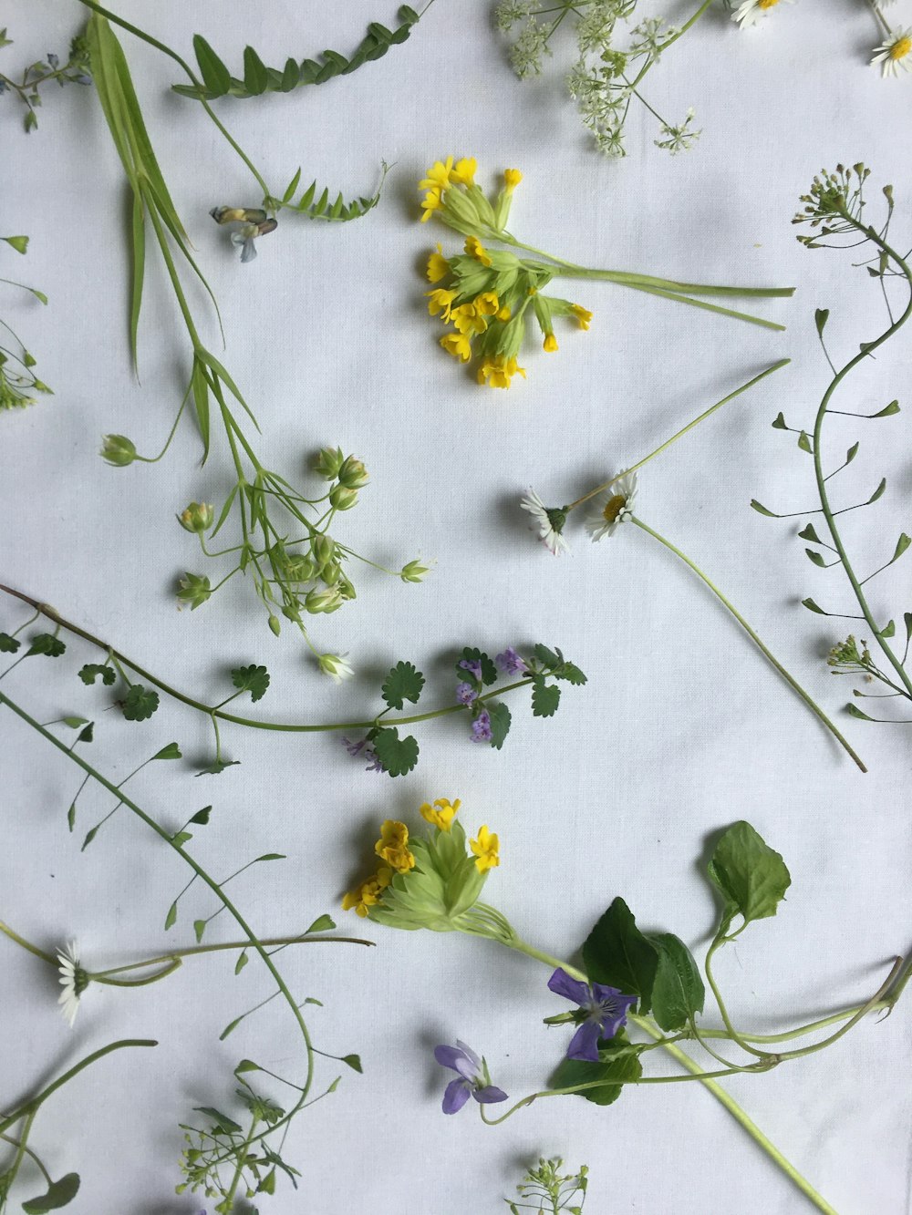 yellow and purple flowers on white textile