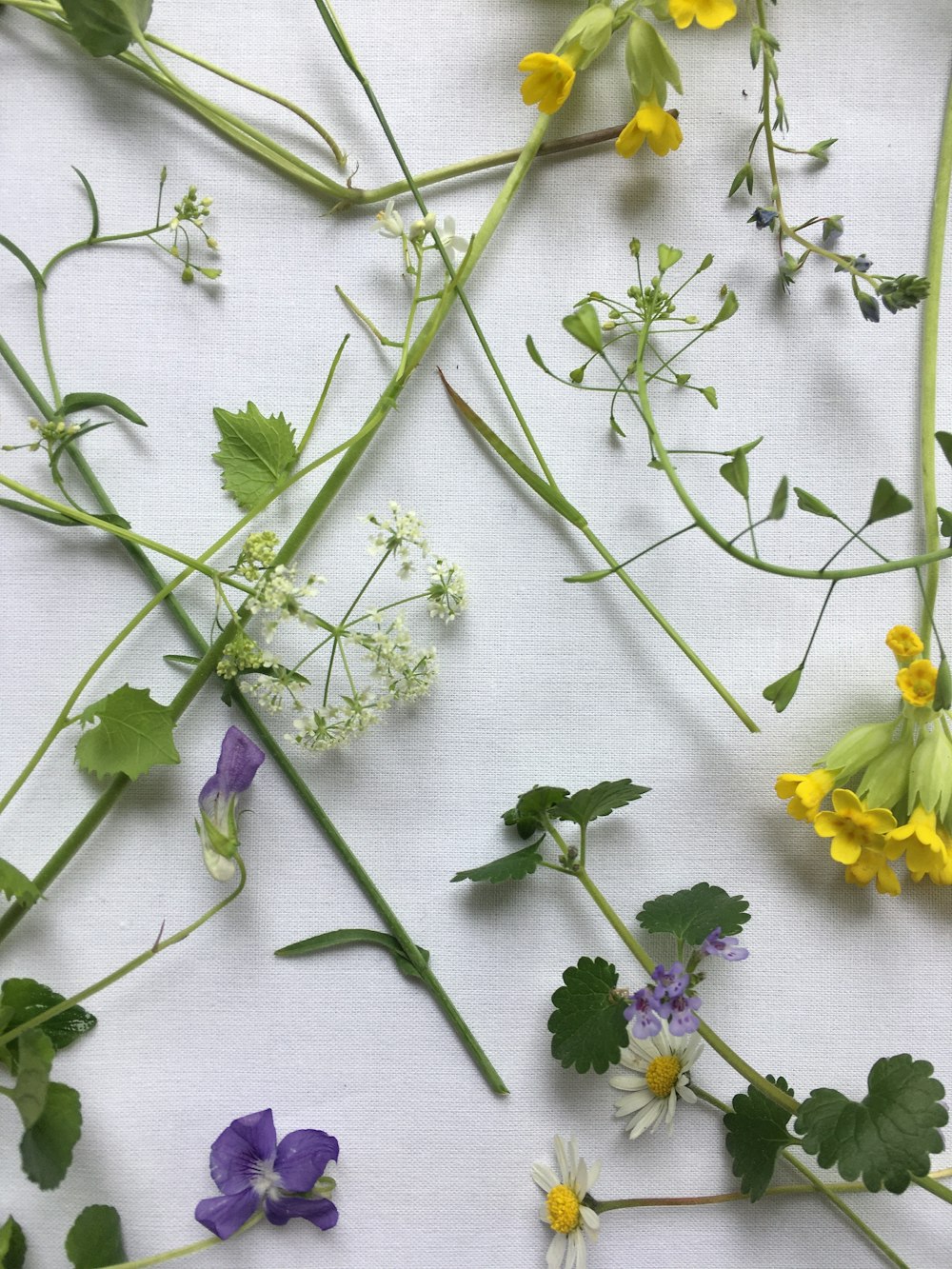 白い布地に黄色と紫の花