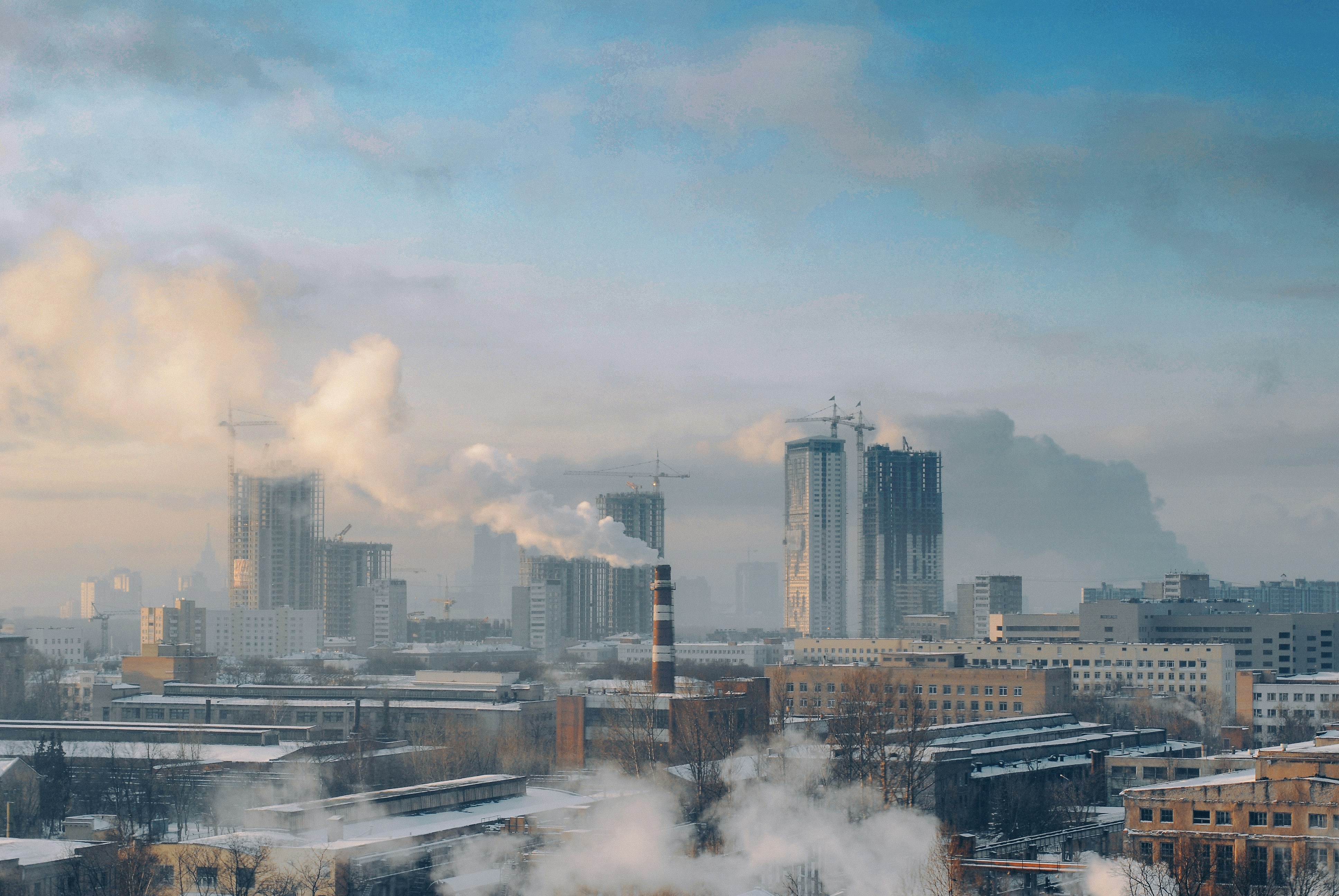 Photo by vonshnauzer