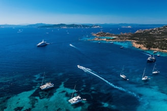 An aerial view of several yachts sailing smoothly on calm waters near a rocky shoreline.