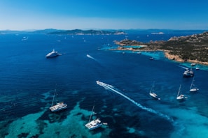white and blue boat on sea during daytime