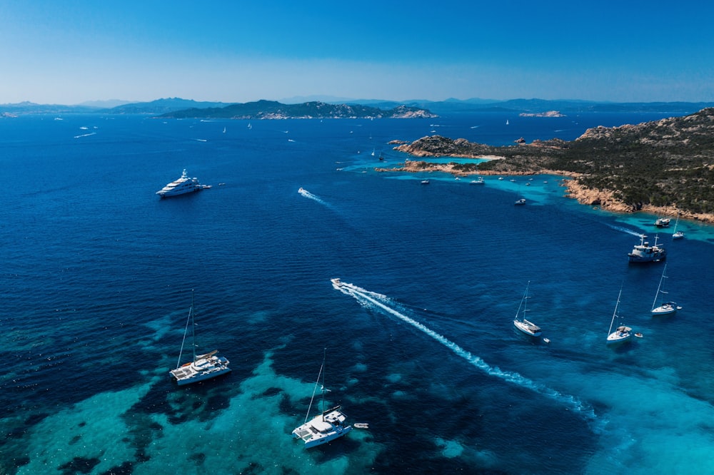 white and blue boat on sea during daytime