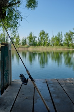 Fishing rods and outdoor gear displayed on a wooden dock by a calm lake.