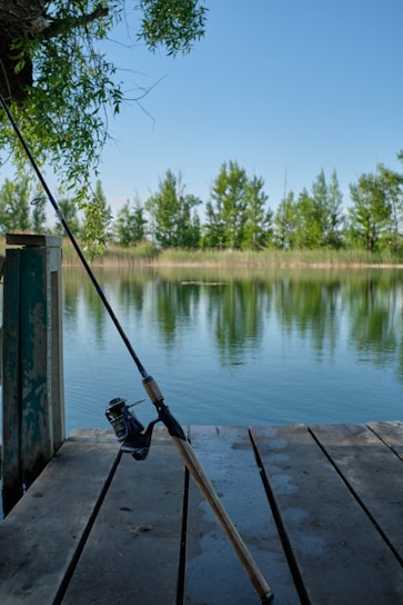 Fishing rods and outdoor gear displayed on a wooden dock by a calm lake.