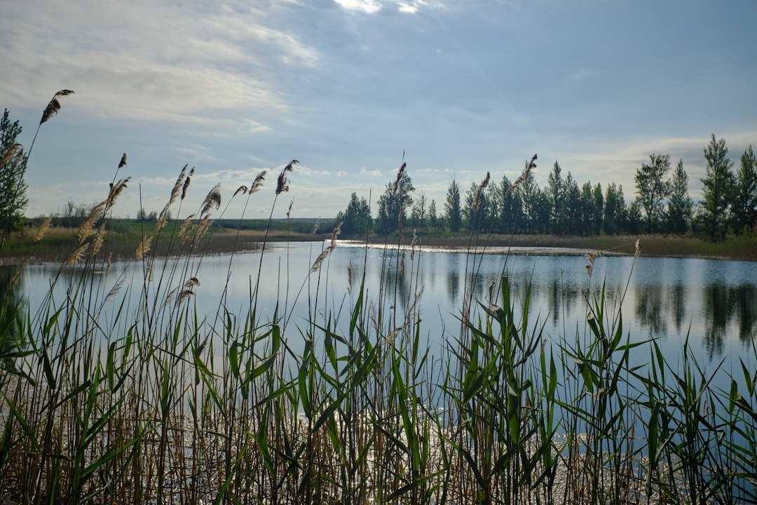 Natural landscape photo spot Chingirlau Kazakhstan