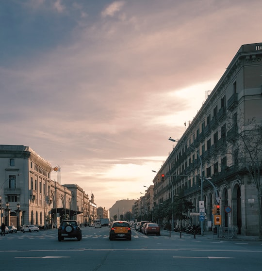 cars parked on side of the road in between buildings during daytime in Ciutadella Park Spain