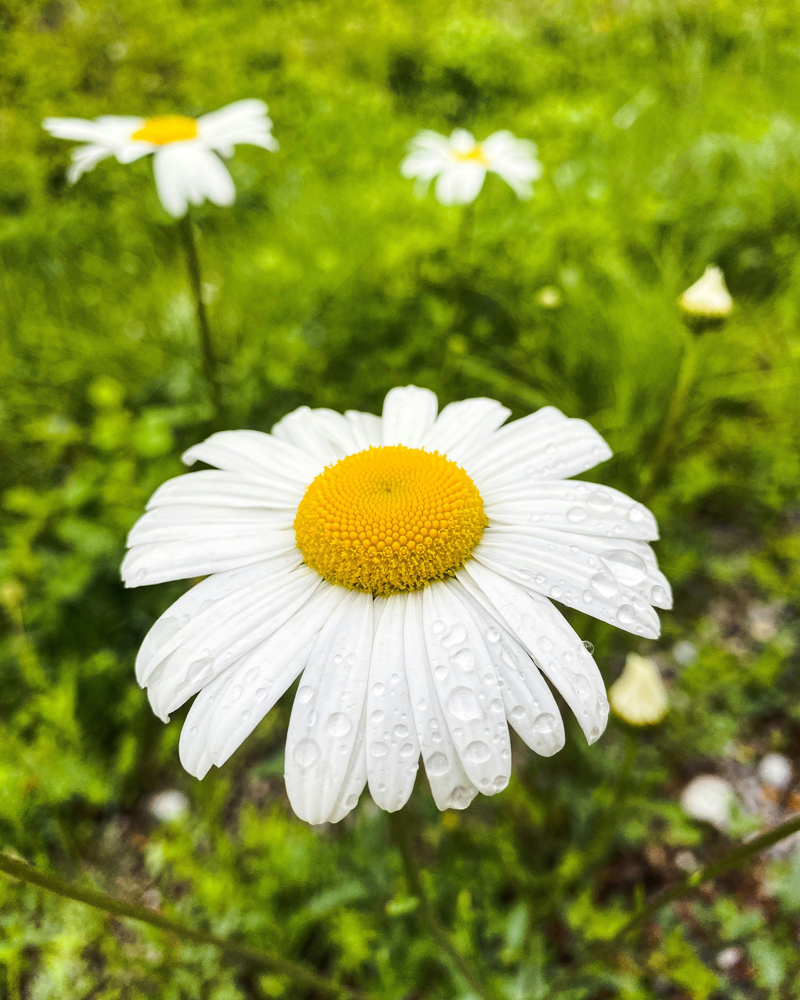 Photo by thriving_taya