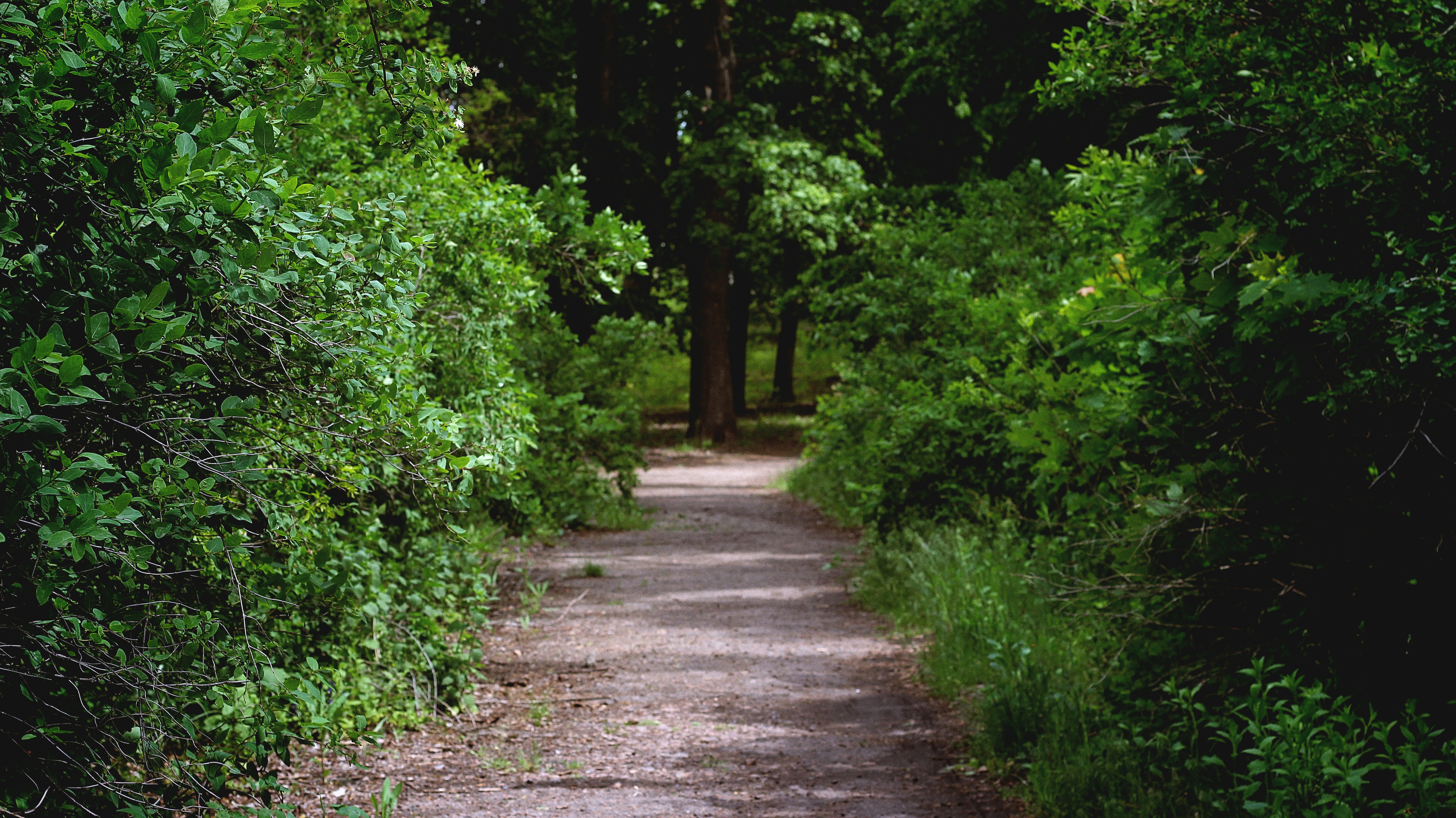 Photo by iamfrancismorgan