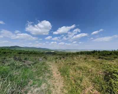 green grass field under blue sky during daytime slovakia google meet background