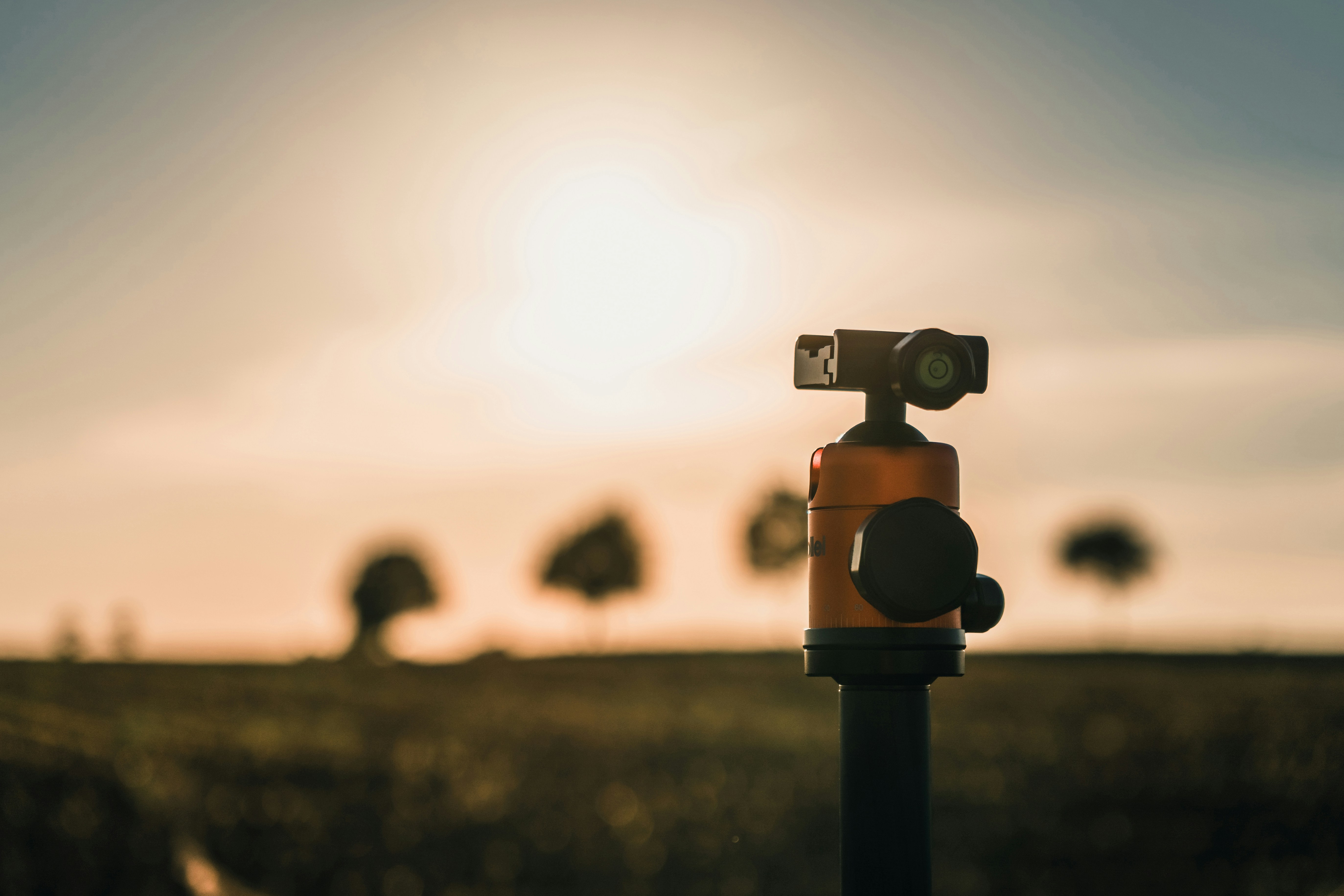 Photo by julianhochgesang