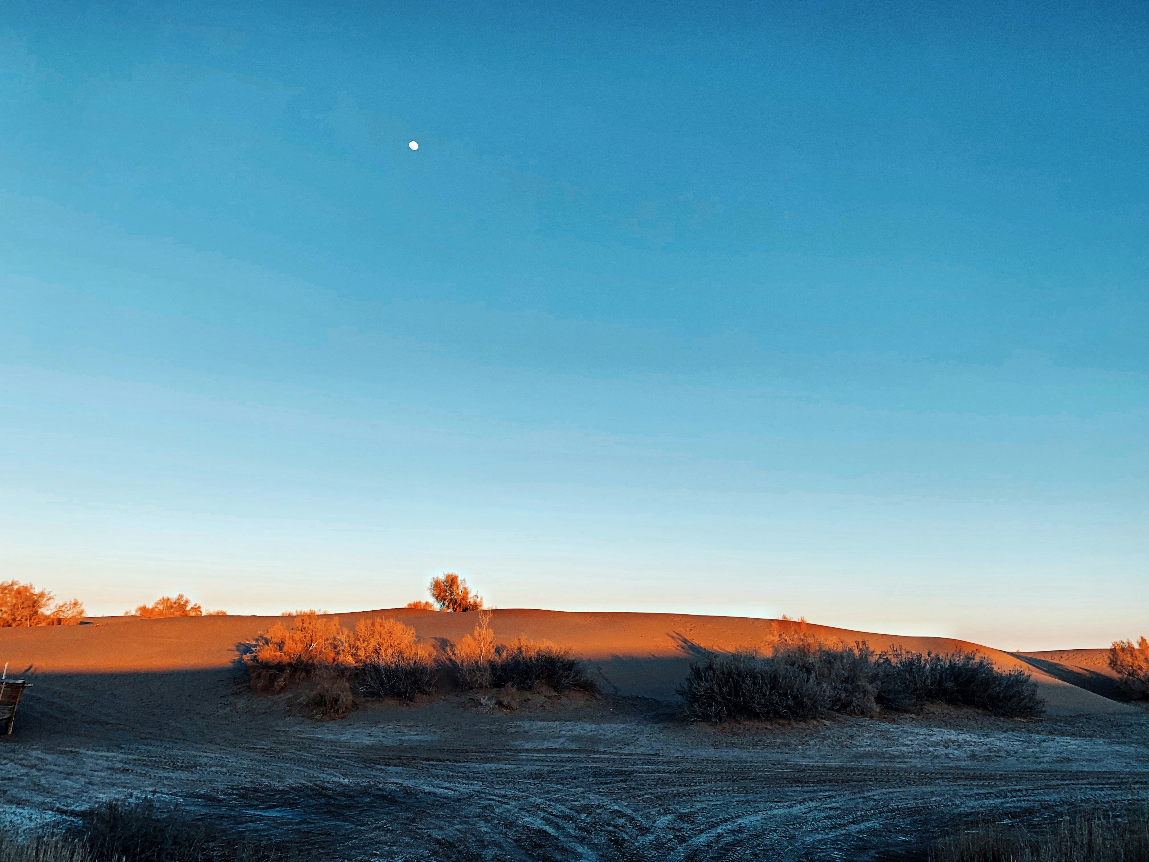 Photo by melikaparand