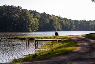 person standing on wooden dock near lake during daytime