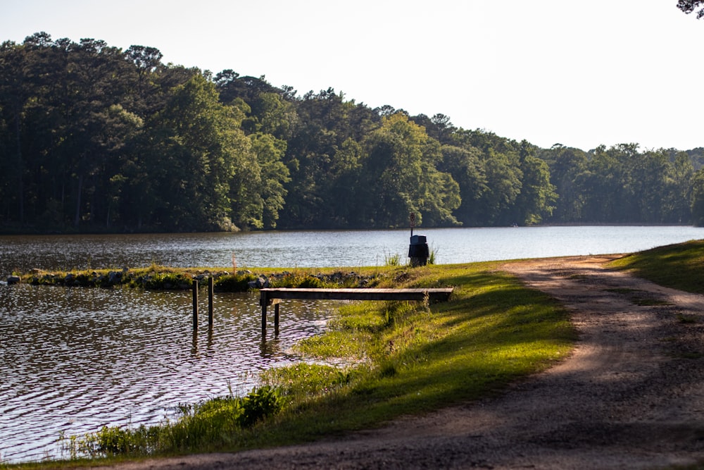 person standing on wooden dock near lake during daytime